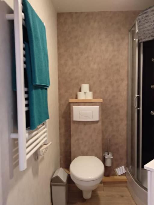 Appartement Centre Ville Rose Toulouse Luaran gambar